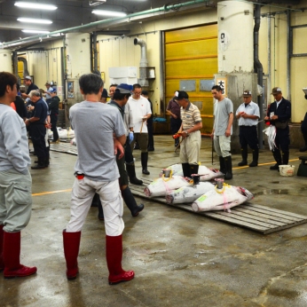 Tuna auction in Tsukiji market
